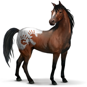 spanelsky_Mustang
