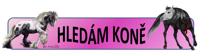 hledam