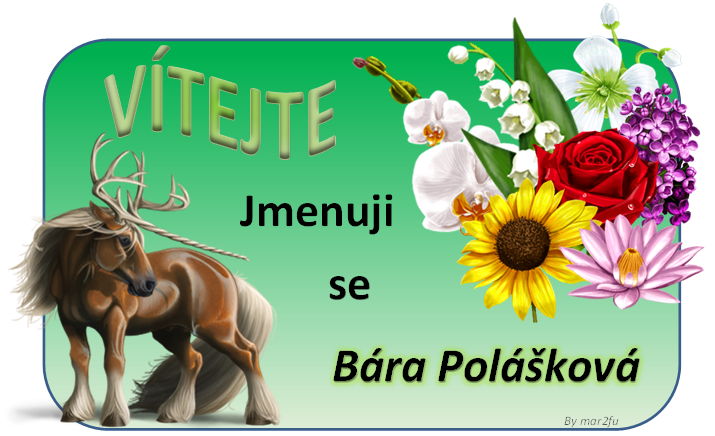vitejte
