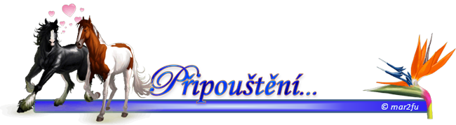 pripousteni